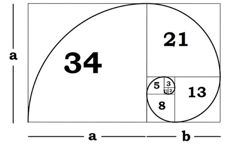 Giới thiệu tổng quan Fibonacci là gì